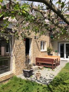 Zahrada ubytování Apartmán Marmeláda