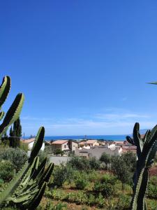 a view of a house and a cactus at Villa in vetro in Castellammare del Golfo