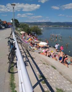 a group of people on the beach at the water at Apartman Sunce in Golubac