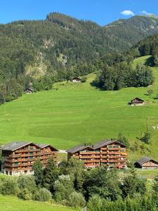 a hotel in the middle of a lush green field at Val D’Illiez mountain apartment. in Val-d'Illiez