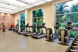 a gym with rows of tread machines and windows at The Westin Lake Mary, Orlando North in Lake Mary