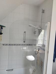 a bathroom with a shower with a toilet and a sink at April cottage in Winchelsea