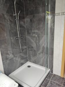 eine Dusche mit Glastür und ein WC im Bad in der Unterkunft Inseldorf Wardt in Xanten
