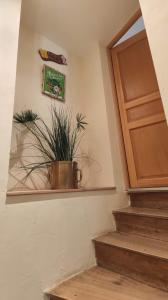 Sauzet的住宿－Appartement Victoria，坐在门旁架子上的植物