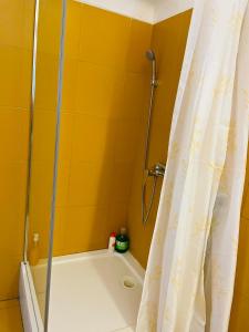 a bathroom with a tub and a shower with a shower curtain at Apartment Ela Centre in Košice