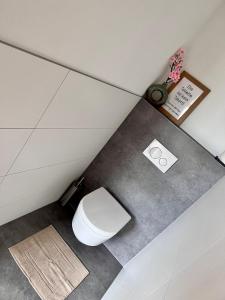 ein Bad mit einem weißen WC in einem Zimmer in der Unterkunft S‘Lieblingsplatzl in Bad Aussee