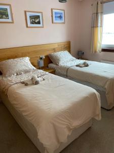 two beds with stuffed animals on them in a bedroom at Creag Dubh Bed & Breakfast in Kyle of Lochalsh