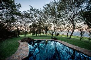 a swimming pool in a yard with trees at Gwahumbe Game & Spa in Mid Illovo