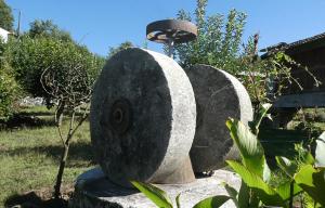 Um jardim em Devagar & Devagarinho