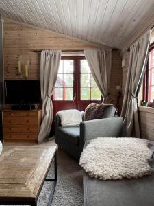een woonkamer met een bank en een tv bij Bromlebu in Notodden