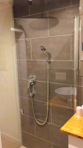 eine Dusche mit einem Schlauch im Bad in der Unterkunft Top in Rüdesheim am Rhein