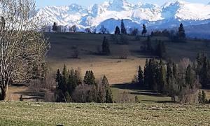 a field with trees and snow capped mountains in the background at Apartament Górski Krokus in Ratułów