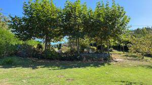 a bench under two trees in a yard at VILLA OLIMAR in San Juan de Prendones