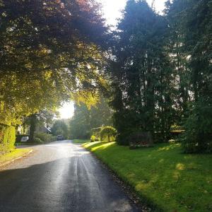 eine Straße mit Bäumen und Gras an der Seite in der Unterkunft Entire house, Crambeck,Welburn, near Castle Howard in Welburn
