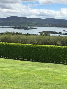 a view of a lake from a hedge at Moriarty’s in Kenmare