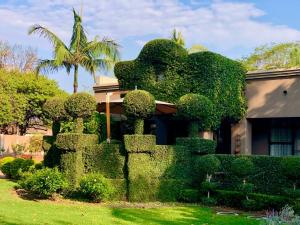 uma casa coberta de sebes verdes em frente a um quintal em Forty 4 On Hoog em Polokwane