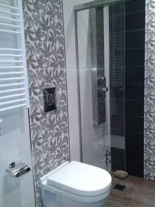 W łazience znajduje się toaleta i przeszklony prysznic. w obiekcie Bellissimo w mieście Alepou