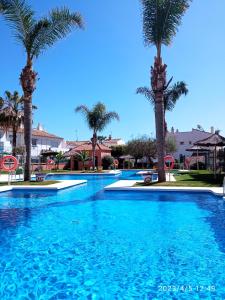 a swimming pool with palm trees in a resort at APARTAMENTOS LOS HIDALGO GOLF in Manilva