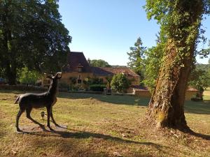 jeleń stojący na polu obok drzewa w obiekcie le petit gite Maison Croix du Sud w mieście Saint-Amand-de-Vergt