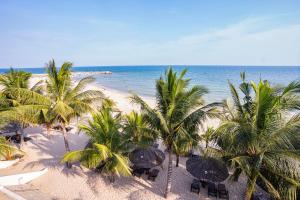 美奈的住宿－Jack's Home - Ocean Vista Condotel Sealink Mui Ne，棕榈树和椅子的海滩和大海