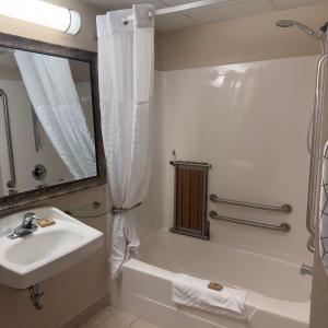 a bathroom with a sink and a bath tub and a mirror at Duluth Inn & Suites Near Spirit Mountain in Duluth