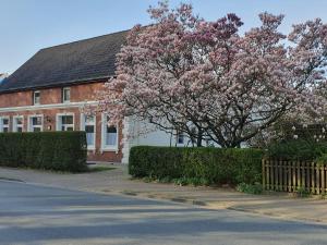 a tree with pink flowers in front of a house at Gartenblick in Oldenburg