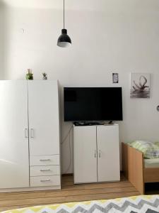 TV a/nebo společenská místnost v ubytování Apartmani Lučin