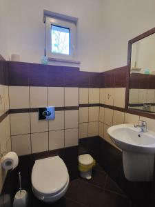 a bathroom with a toilet and a sink at Kwatery pod wieżą 