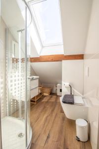 uma clarabóia na casa de banho com chuveiro e banheira em Bled Lake Apartment House em Bled