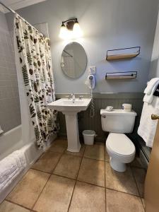 Alamoosook Lakeside Inn Orland في Orland: حمام مع مرحاض ومغسلة