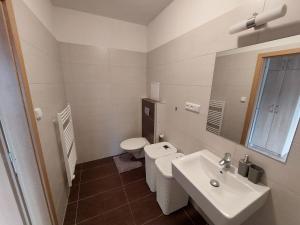 Koupelna v ubytování Apartmán Všemina 300 + 9 fotografií