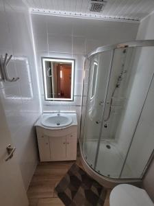 y baño con ducha y lavamanos. en Szemes Apartman Balaton en Balatonszemes