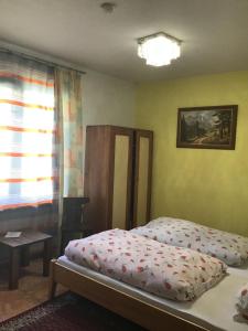 - une chambre avec un lit et une fenêtre dans l'établissement Guesthouse Mountain View, à Großkirchheim
