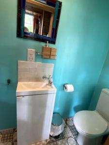 uma casa de banho com um WC branco e um espelho. em The Bristol Coach House in the heart of Bishopston em Bristol