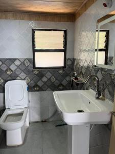 een badkamer met een wastafel, een toilet en een spiegel bij Kheychun homestay in Darjeeling