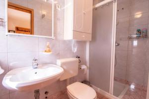a bathroom with a sink and a toilet and a shower at River Valley View House in Bohinjska Bistrica +12 photos