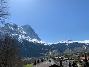 Elle offre une vue sur une montagne enneigée. dans l'établissement Grindelwald-Sunneblick, à Grindelwald