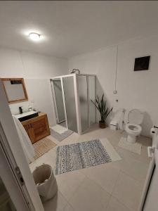 a bathroom with a shower and a toilet and a sink at Résidence au bout du Morne in Le Morne