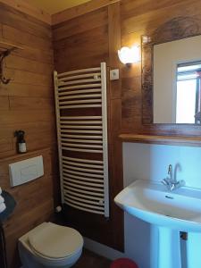 a bathroom with a toilet and a sink and a mirror at Le Castellou in Conques
