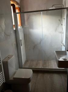 a bathroom with a shower and a toilet and a sink at Villa Asteria in Melidhónion