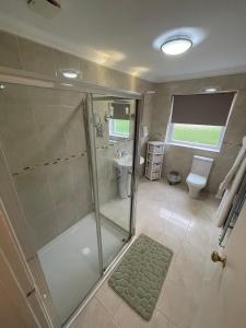 a bathroom with a shower and a toilet and a sink at Lovesgrove Country Guest House in Pembroke Dock