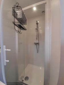 La salle de bains est pourvue d'une douche en verre et de toilettes. dans l'établissement Le Cocon, à Rennes