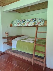 a bedroom with two bunk beds and a ladder at La Ramada de Mama Elena in Oxapampa