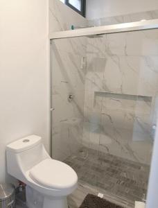 マサトランにあるExcelente Depa en Sabalo Countryのバスルーム(トイレ、ガラス張りのシャワー付)
