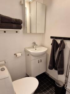 a bathroom with a white toilet and a sink at Lägenhet Yvonne in Gränna