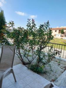 una silla sentada junto a un árbol junto a una valla en Pyla Palms - Ground Floor, en Pyla