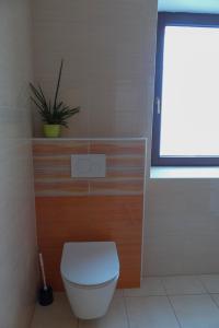 baño con aseo y planta encima en Apartma Praprot en Mojstrana