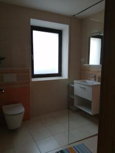 Salle de bains dans l'établissement Apartma Praprot