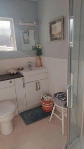 a bathroom with a toilet and a sink and a shower at Brooklands Farm Hamble Riverside apartment on the reiver in Southampton