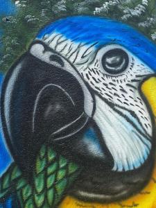 a painting of a blue and white parrot at Ecohotel La Reserva in Piojó
